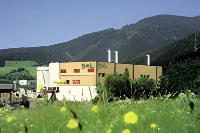 Biomasse-KWK Leoben, Steirische Gas-Wärme GmbH